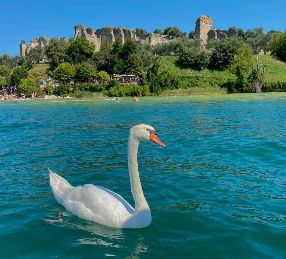 Appartamento Casa Vacanze Spiaggia D'Oro Desenzano del Garda Exteriör bild